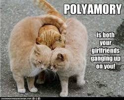 But perhaps, we should define what i mean by the polyamory meme. according to wikipedia, a meme is an idea, behavior. Our Top 10 Favorite Polyamory Memes Of All Time Poly Land