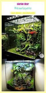 Vivarium Decor Vivarium Decor Vivarium Dekor Decor Vivarium Dekor Decor De Vivarium Decoracion De Vivero V Vivarium Bioactive Vivarium Terrarium Diy