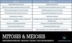 Tempat terjadinya pembelahan meiosis dan pembelahan mitosis. Pengertian Meiosis Tahapan Tujuan Ciri Dan Prosesnya