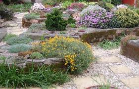 The Rock Garden Alpine Garden Rock Garden Garden Design