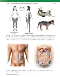 Check spelling or type a new query. Introduction To Health Science Pathways To Your Future 1st Edition Page 163 181 Of 816