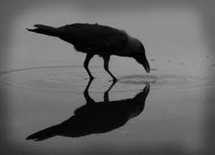 Bishop Briggs White Flag Meaning Nothing But Crows Welsh Sayings Welsh Words Welsh Language