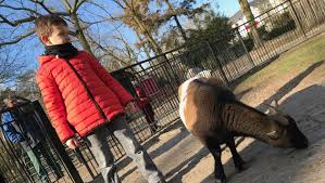 Le jardin des plantes de nantes fait environ 7 ha, il se trouve près de la gare, entouré par le reste de la ville. Nantes Les Animaux Du Jardin Des Plantes S Acclimatent Au Froid