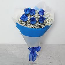 We did not find results for: Gift Bouquet Of Blue Roses Ferns N Petals