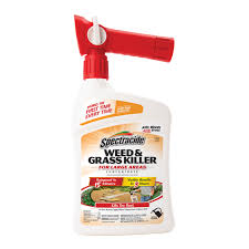 Most popular are evergreen bushes, which provide a green foliage throughout the year. Spectracide Weed Grass Killer For Large Areas Concentrate Ready To Spray Spectracide