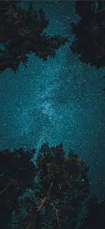 Free Download The Starry Night Wallpaper Beaty Your Iphone Nature Space Grey Starry Night Iphone Wallpaper Starry Night Wallpaper Forest Wallpaper Iphone
