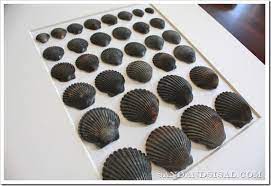 Maybe you would like to learn more about one of these? Shell Art Sand And Sisal
