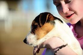 Bruiser and the Work Glove Monster