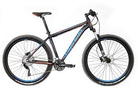 Pin On Capriolo 29 29 Ke 2015