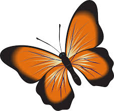Check spelling or type a new query. Orange Butterfly Clipart Free Download Transparent Png Creazilla