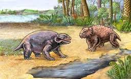 Image result for Pareiasaurus