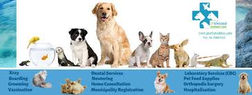 Pet owners bring their beloved animal family members to our family because the care given by our established team of friendly, compassionate and experienced veterinarians and support staff is second to none. Professional Veterinary Clinic Home Facebook