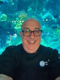 Tara Mowery Getchonis