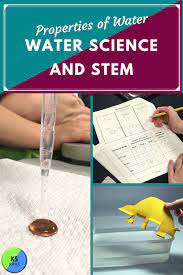 Surface Tension Experiment And Stem For Kids Chemistry For Kids Surface Tension Science Fair Experiments