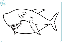Animales Marinos Para Colorear