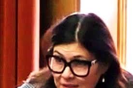 Political opinion with Cllr Alison Cornell: Questions from the public?