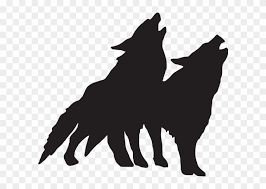 Night landscape with cliff, trees and animal. Dc16252 Wolf Pack Silhouette Hd Png Download 600x518 2817099 Pngfind