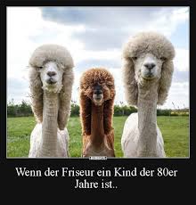 Besten Bilder Videos Und Spruche Und Es Kommen Taglich Neue Lustige Facebook Bilder Auf Debeste De Hier Werden Tagl Alpaka Lustig Spruche Tiere Lustige Tiere
