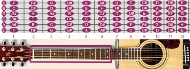 fretboard with notes on the guitar