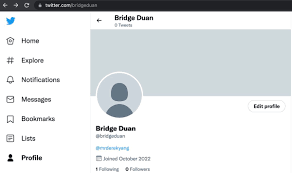 Bridge Duan (@bridgeduan) / Twitter