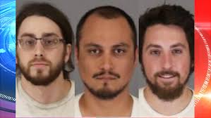 Over 10,400 marijuana plants seized in Riverside County