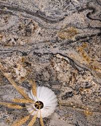 Best cheer group is the best service provider of global united stone resolving system and the best provider of professional top stones. Best Cheer Stone Marble Granite Quartz Tile Commercial Residential