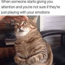 28 Catnip Filled Memes To Satisfy Your Caturday Obsession Funny Animal Memes Funny Cat Memes Funny Cat Pictures