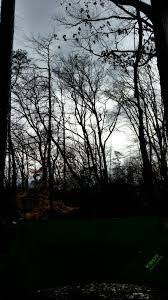 The pool is located on the west side of the dam, near the park office. Norris Dam State Park Primitive Campground