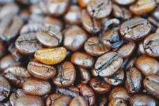 North Norfolk Networking Coffee Morning