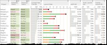 7 views of project portfolio variance enrich consulting