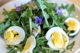 Was Tun Bei Eisenmangel Erste Hilfe Bei Zu Wenig Eisen Salat Rezepte Abnehmen Was Tun Bei Eisenmangel Rezepte Abnehmen