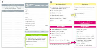 A Asthma Action Plan Card Front In Jpeg Format B Asthma