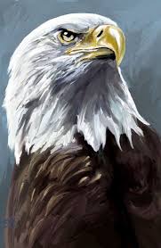 Speed Painting Eagle By Scott Edward On Deviantart Animal Paintings Acrylic Animal Paintings Eagle Painting