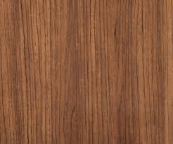 Image result for Tectona