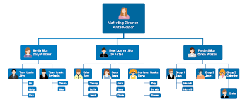 organogram mind map free organogram mind map templates