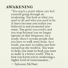 Spiritual Awakening Signs Quotes Symptoms And How Guides For Inner Soul Growth Includi Intuition Quotes Spiritual Awakening Quotes Awakening Quotes