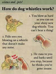 The sound of the whistle, which should not hurt your dog in anyway, but it breaks their focus and captures their attention. Fake Science How Do Dog Whistles Work