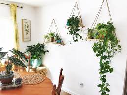 Hanging Maple Plant Shelf Hanging Plant Shelf Wall Shelf Etsy Plant Shelves Hanging Plants Indoor Bedroom Plants