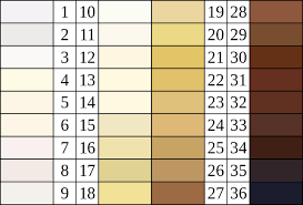 Felix Von Luschan Chromatic Scale Skin Color Chart Human