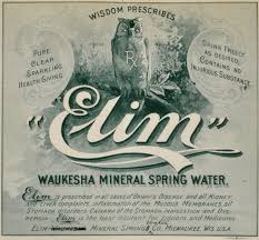 Elim Waukesha Mineral Spring Water Print Wisconsin Historical Society Waukesha Spring Water Water Printing