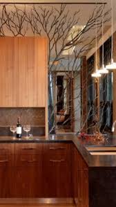 Luxury Penthouse Kitchen The Branches Are Interesting