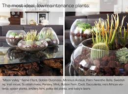21 Simple Ideas For Adorable Diy Terrariums In 2020 Terrarium Diy Terrarium Tabletop Terrarium
