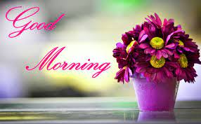 Good morning image s wallpaper photo pics hd download for. Good Morning Wallpapers Top Free Good Morning Backgrounds Wallpaperaccess
