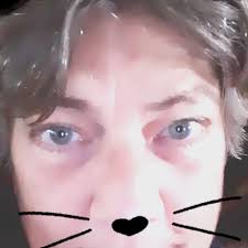 Sears Auto Center Lewisville, TX