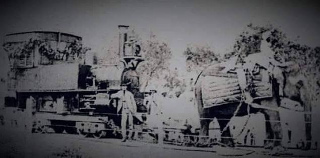 Holkar state railways inauguration with elephant-pulled train