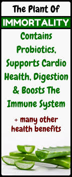 Pin By Jennifer On Health And Fitness Health Holistic Health Remedies Health Remedies