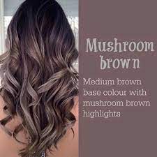 Shedonteversleep Hair Styles Long Hair Styles Hair Color Balayage