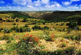 It covers parts of the départements of ardèche, gard, hérault and lozère. View Over The Cevennes National Park Lozere Languedoc Roussilon Stock Photo Picture And Royalty Free Image Image 14871558