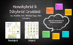 Dihybrid practice problems / mendel invented the dihybrid cross to determine if different traits of pea plants, such as flower color and seed shape, were inherited independently. Monohybrid Crosses By Kristin Son