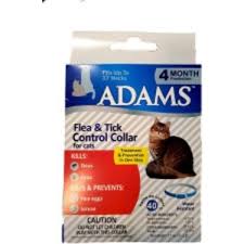 Adams Kedi Pire Ve Kene Tasmasi Fiyati Taksit Secenekleri